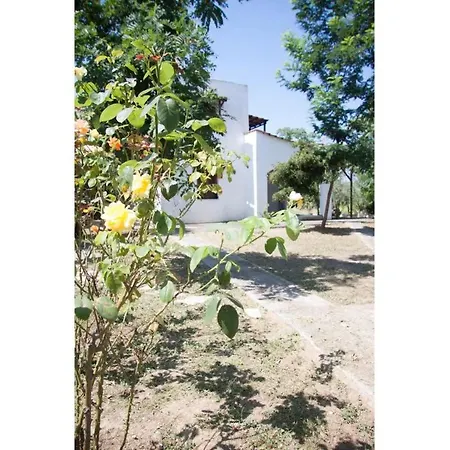 Maria's House 2